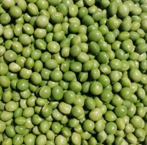 青豆就是绿色的大豆,有什么营养价值?